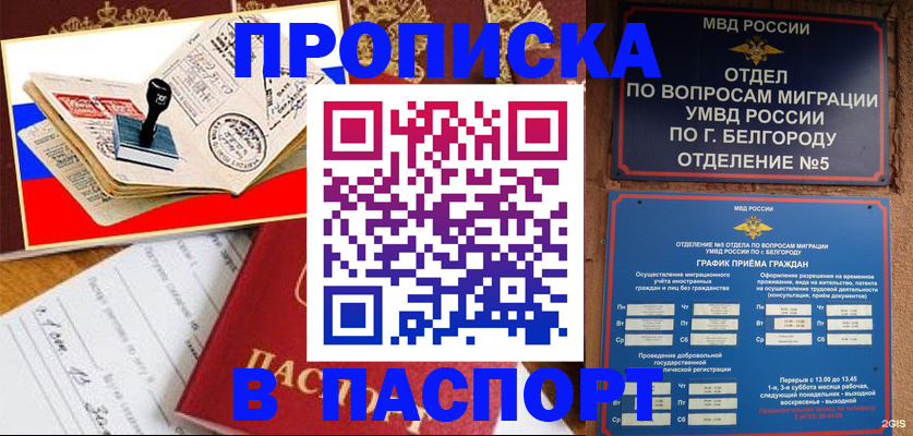 купить прописку в Щёлкино